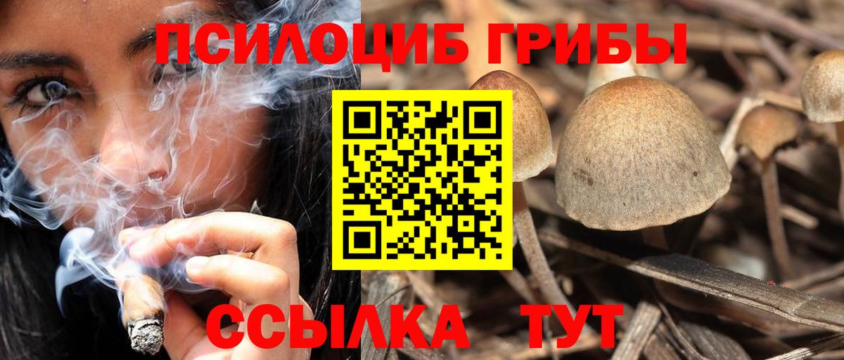 Псилоцибиновые грибы прущие грибы Гусь-Хрустальный