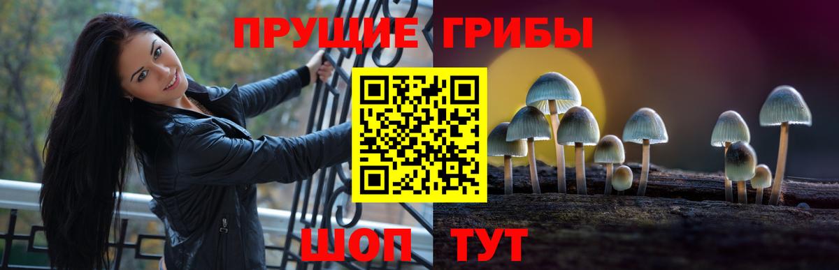 Гусь-Хрустальный  Псилоцибиновые грибы MAGIC MUSHROOMS  купить наркоту  Псилоцибиновые грибы ЛСД  Вход с VPN 